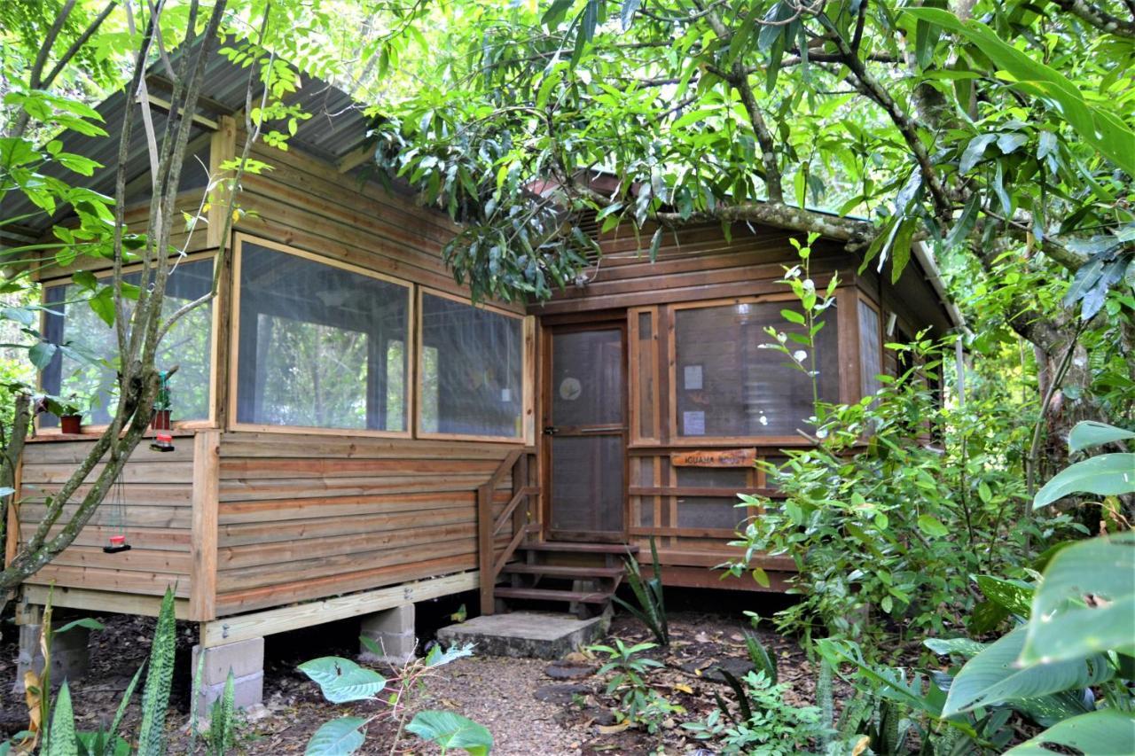 Iguana Roost Tourism Gold Standard Fully Equipped Two Bedroom Cabin 圣伊格纳西奥 外观 照片